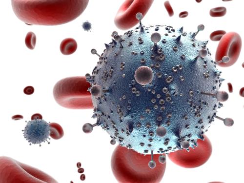 Virus HIV đáng sợ dưới kính hiển vi