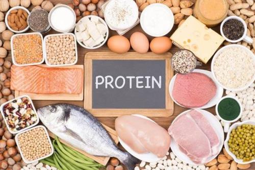 Một số thực phẩm giàu protein bạn có thể dễ dàng tìm thấy là cá, thịt, các loại đậu hạt, trứng, gan động vật, sữa chua Hy Lạp, phô mai,...(Ảnh: Shutterstock)